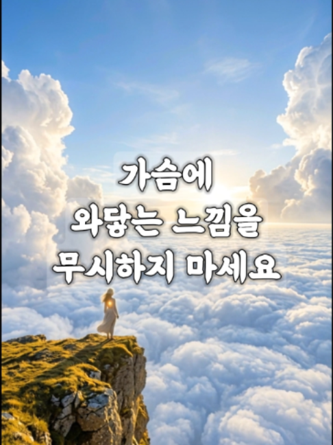 @빛의 씨앗