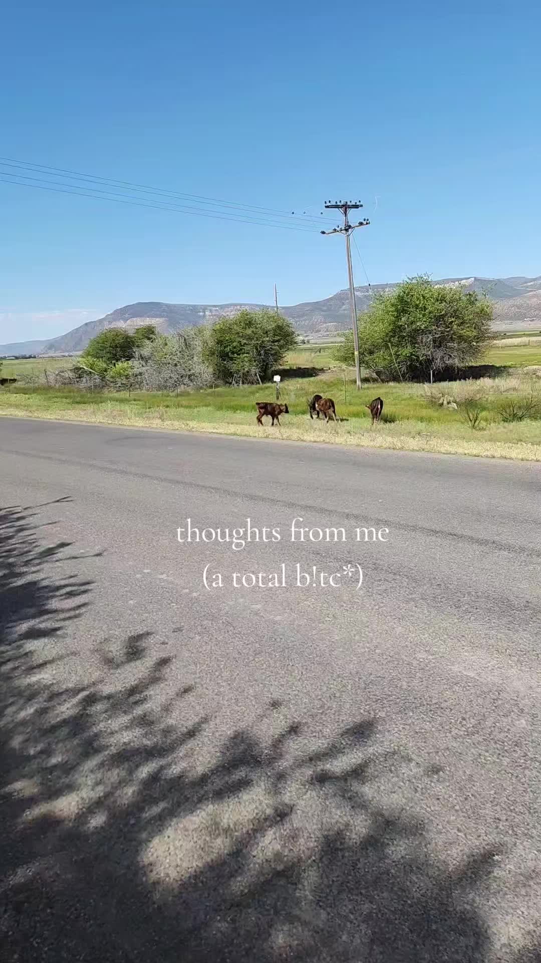 @Olsen Horse & Cattle Co. LLC