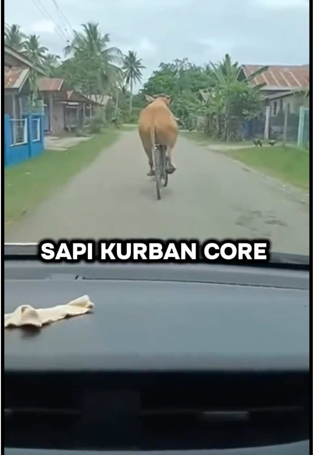 @cctvnetizen