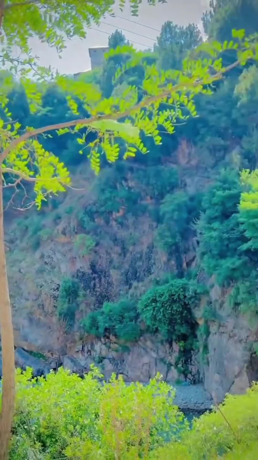 @HK JANAKHEL