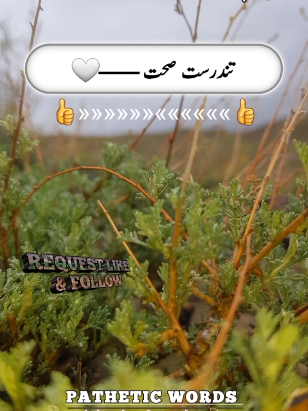 @Dard Qalaab