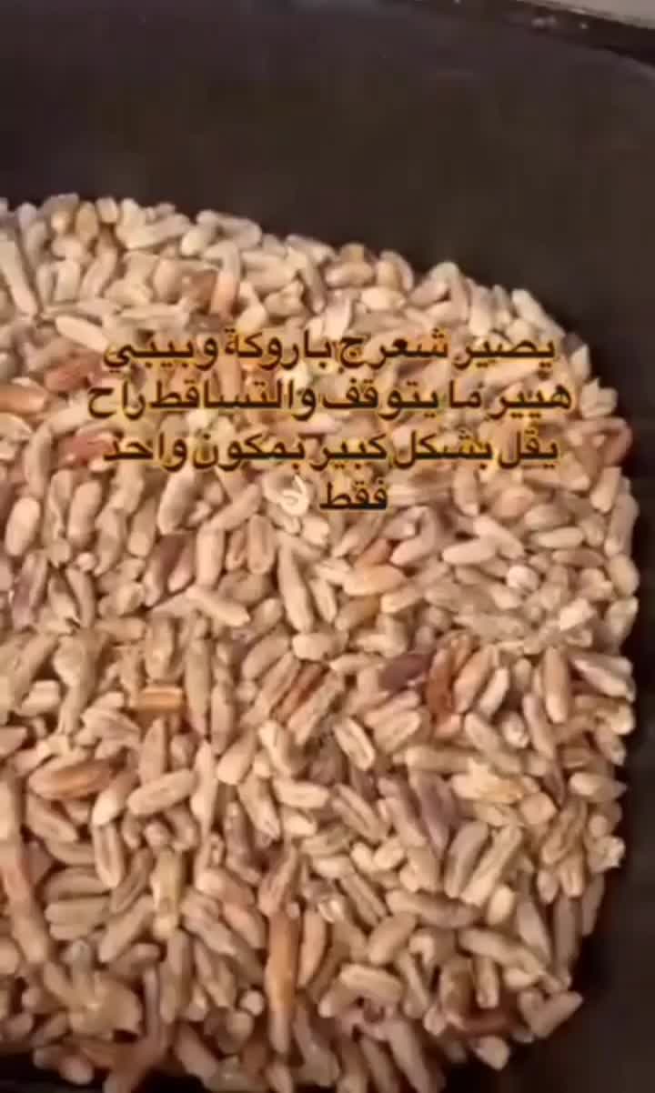@لمسة الطبيعه🌱