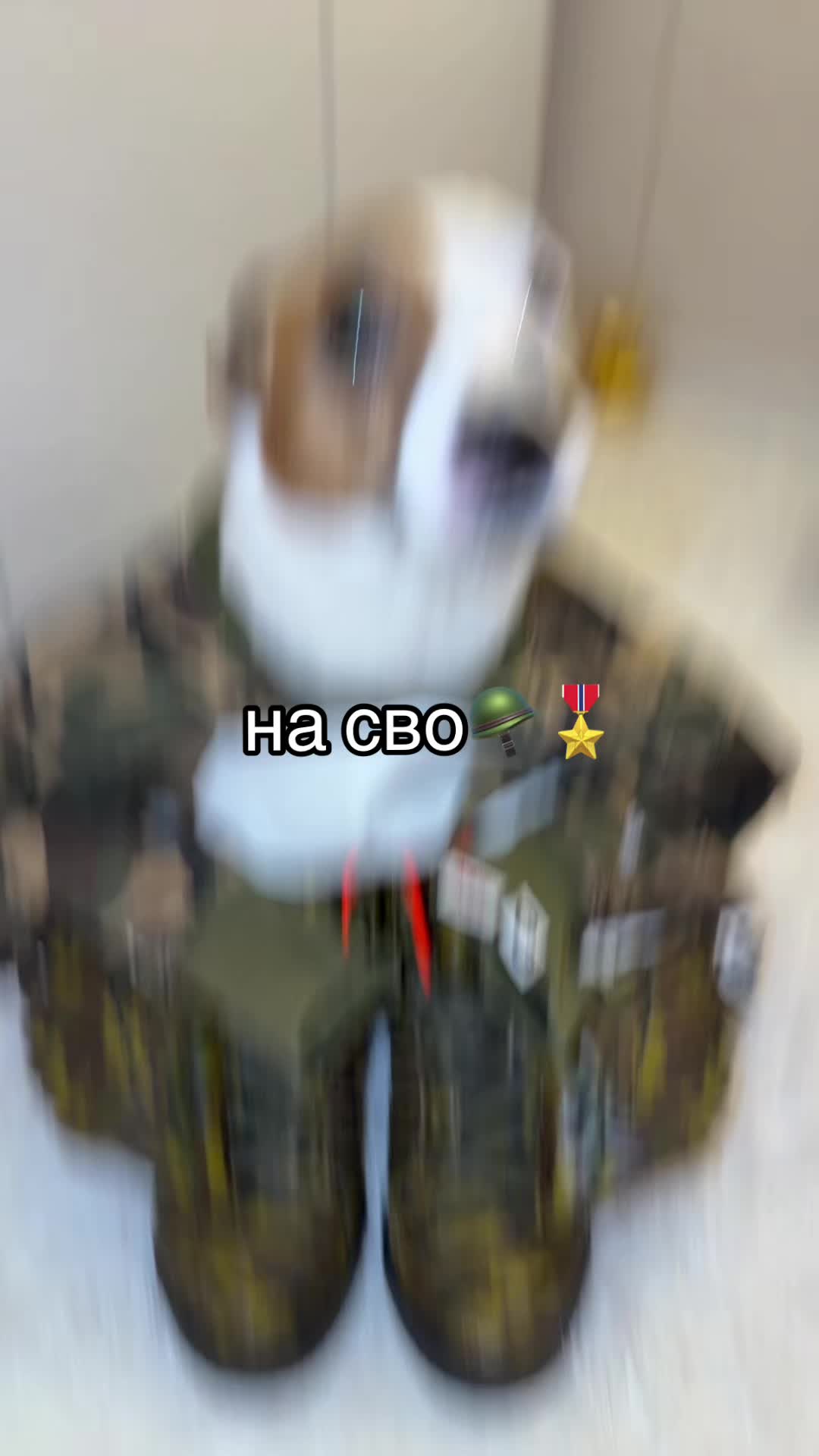@злюка блонди