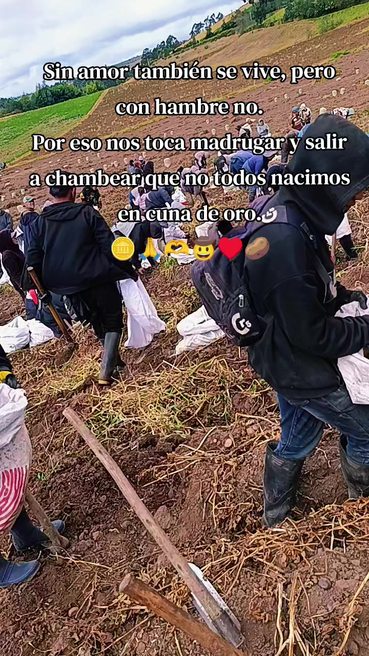@✨𝓜𝓸𝓷𝓲𝓣𝓱𝓪✨