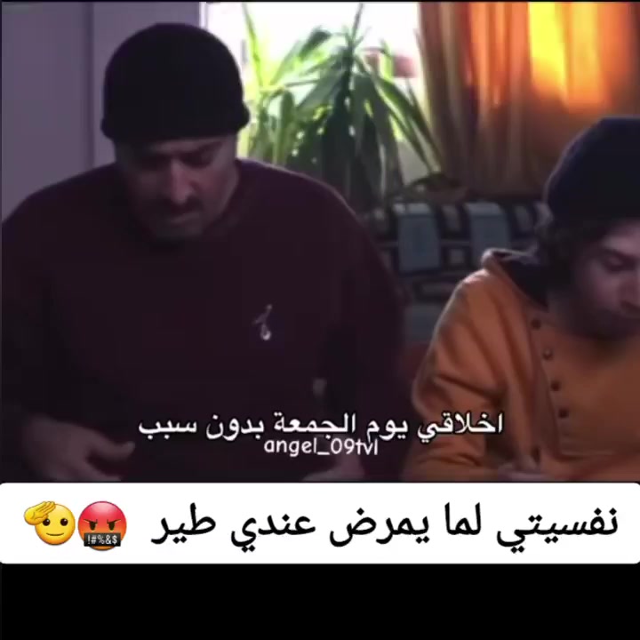 @Pigeons Tv