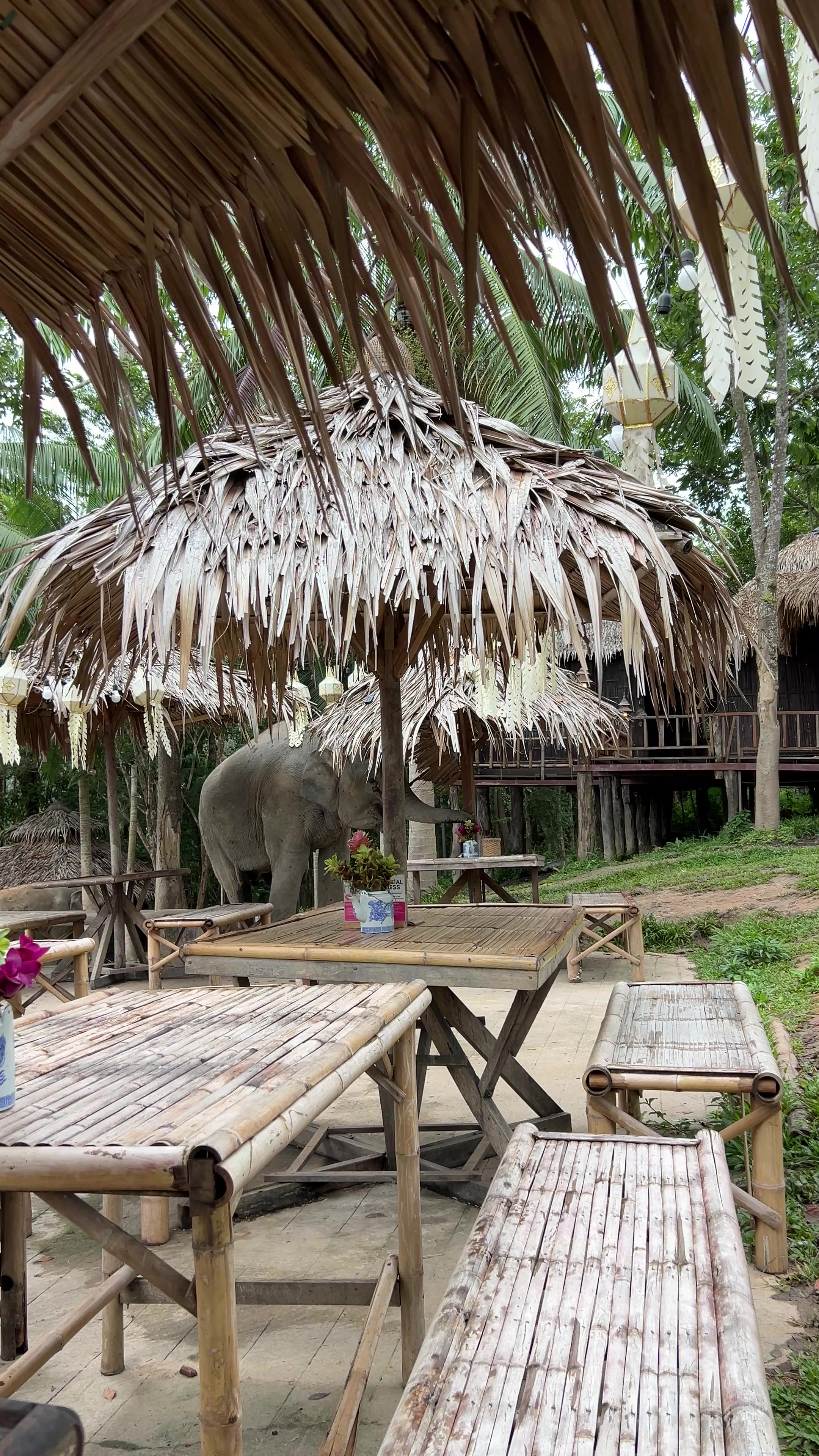 @Sandra