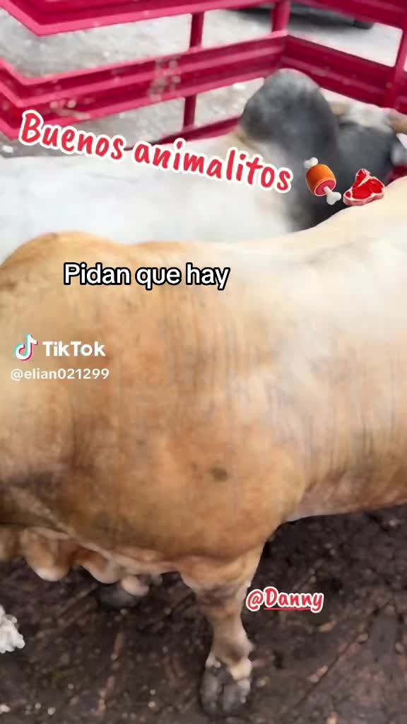 @Danny