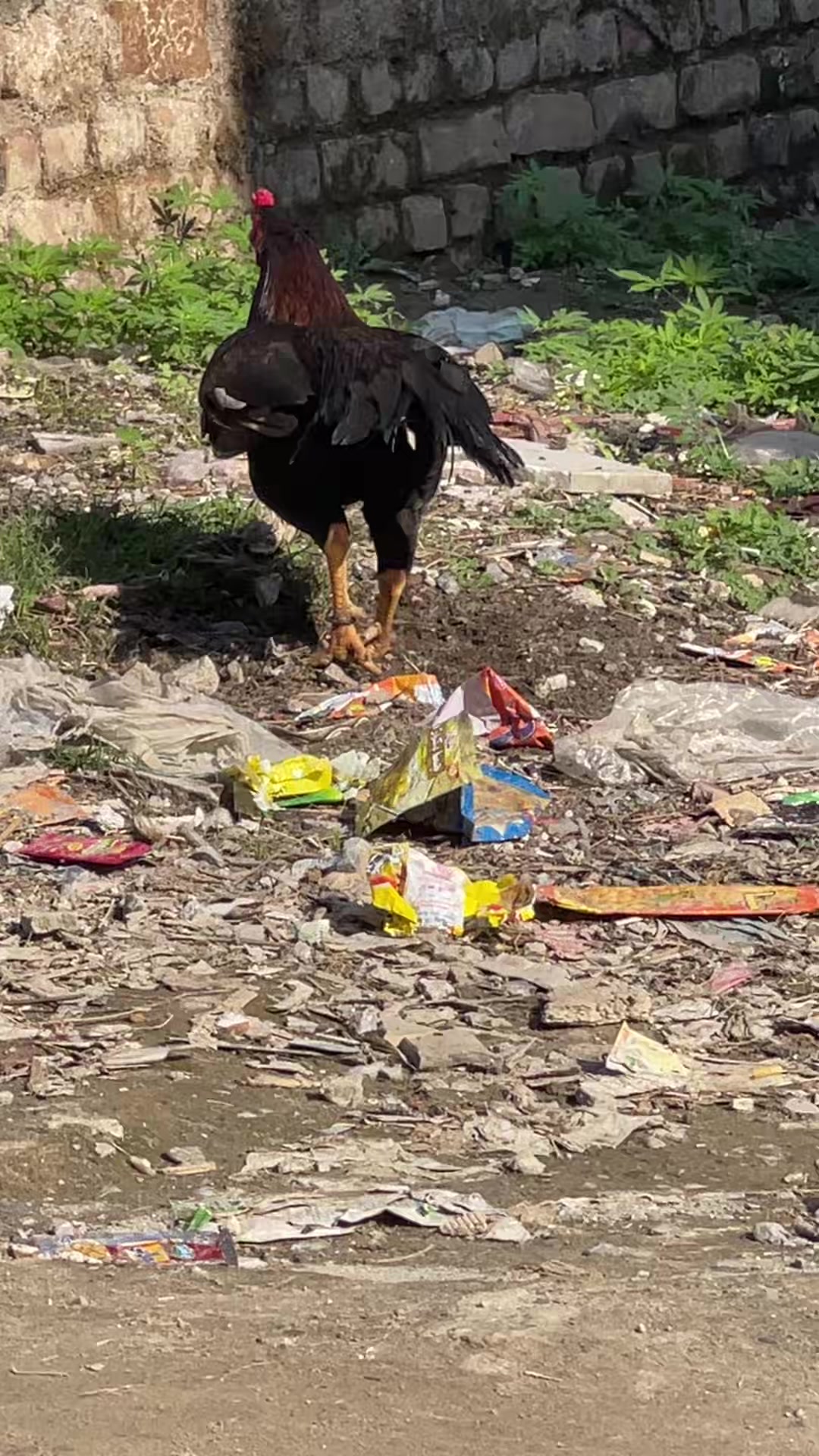 @🦅MiANWALY Aseel 🦅