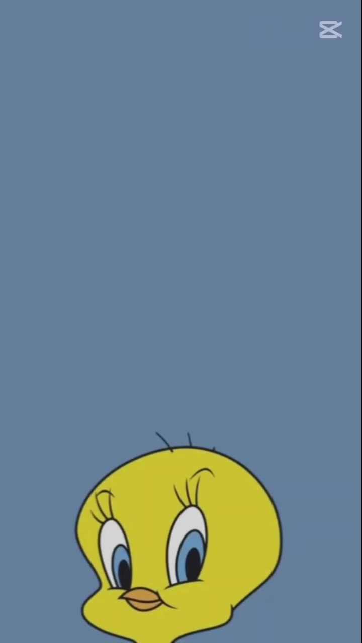 @D&iacute;a a d&iacute;a