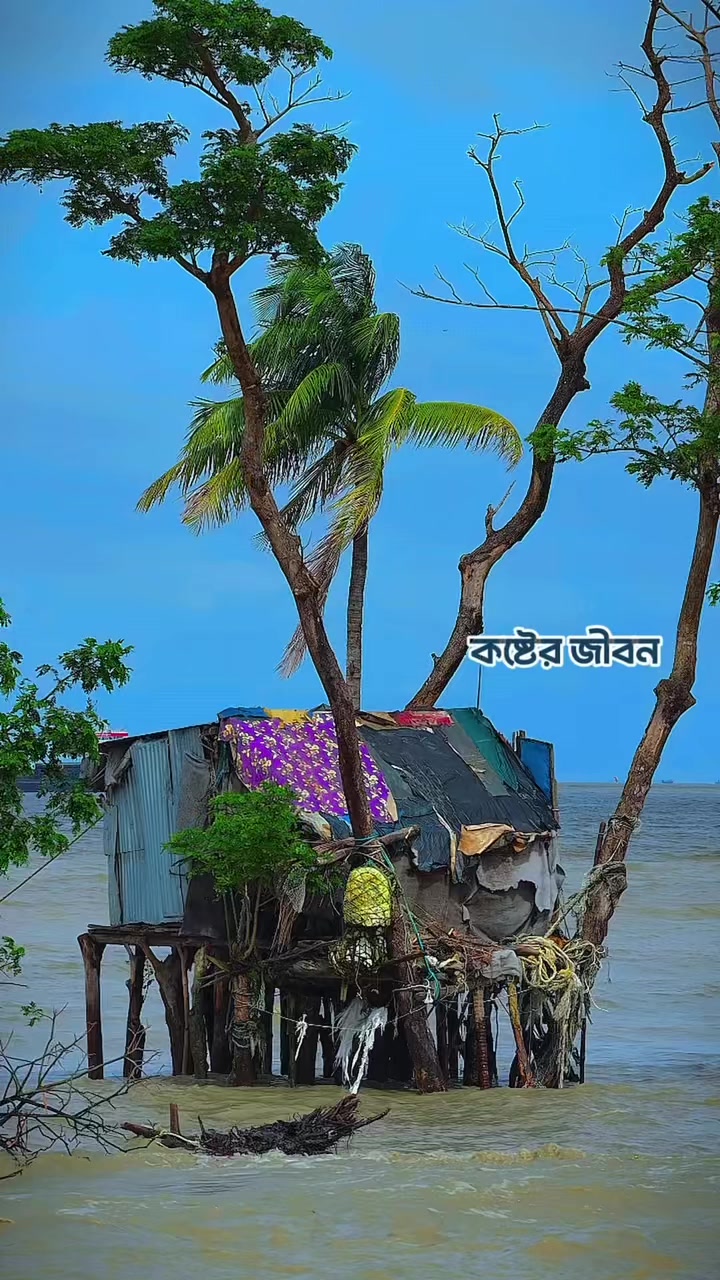 @❤️☘️শেষ পাতা ❤️🩹🍀🥰