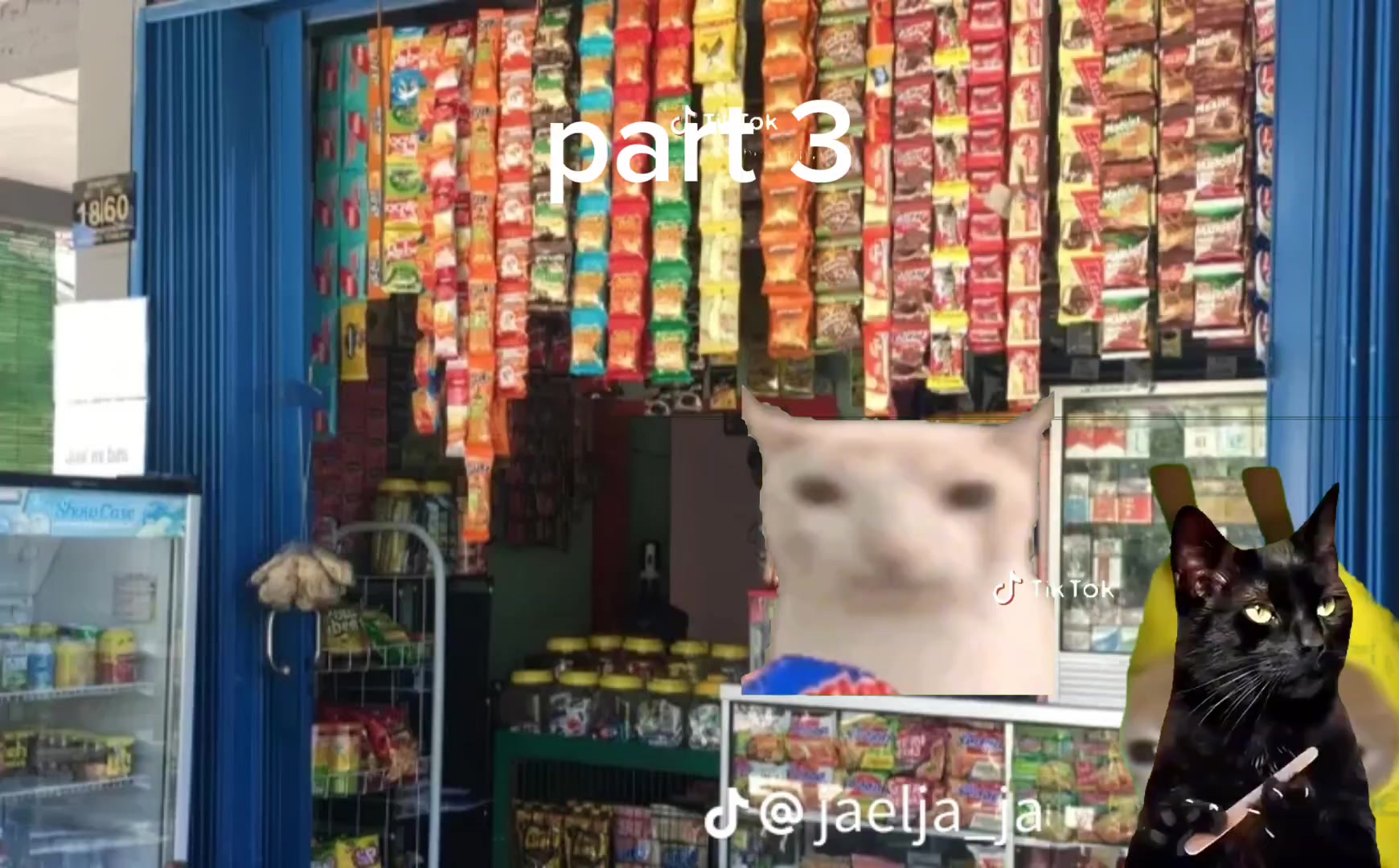 @aelanaaa