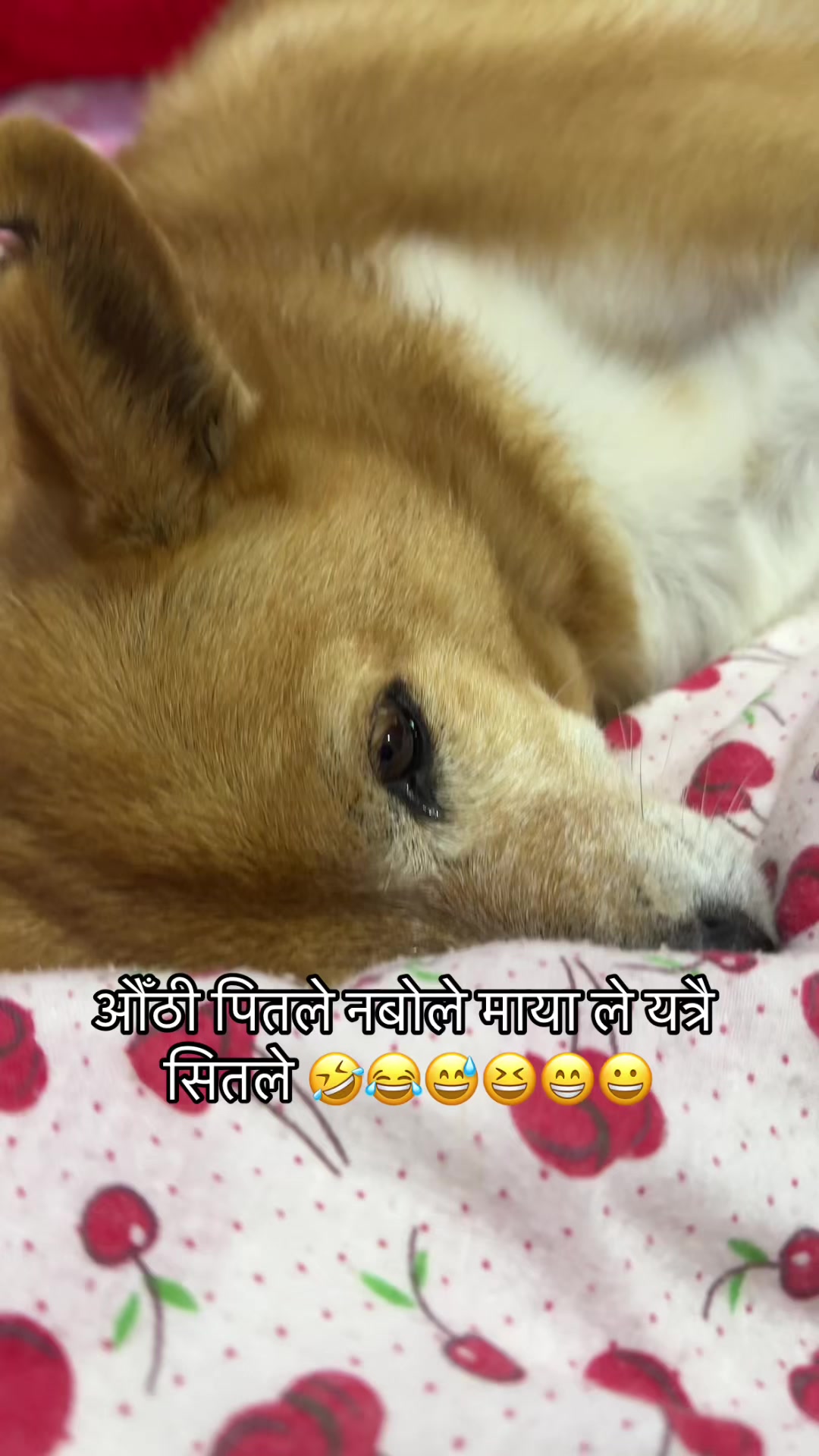 @Sanjivani