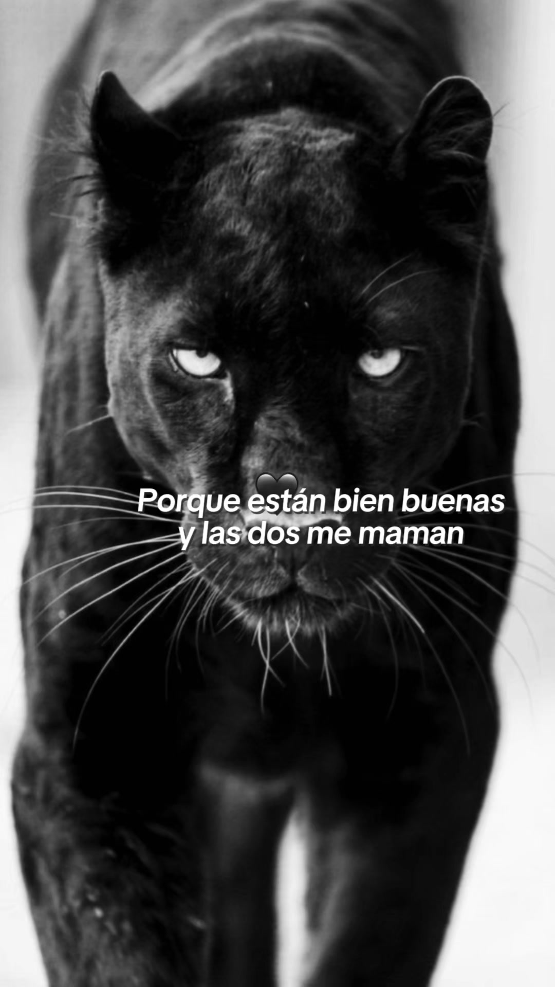 @valentinaramirez0222