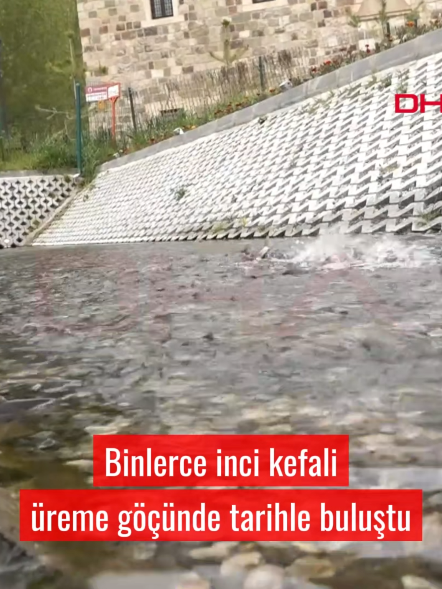 @Demirören Haber Ajansı