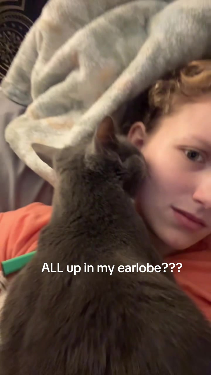 @maryyy🍄🧚🌙🐈⬛