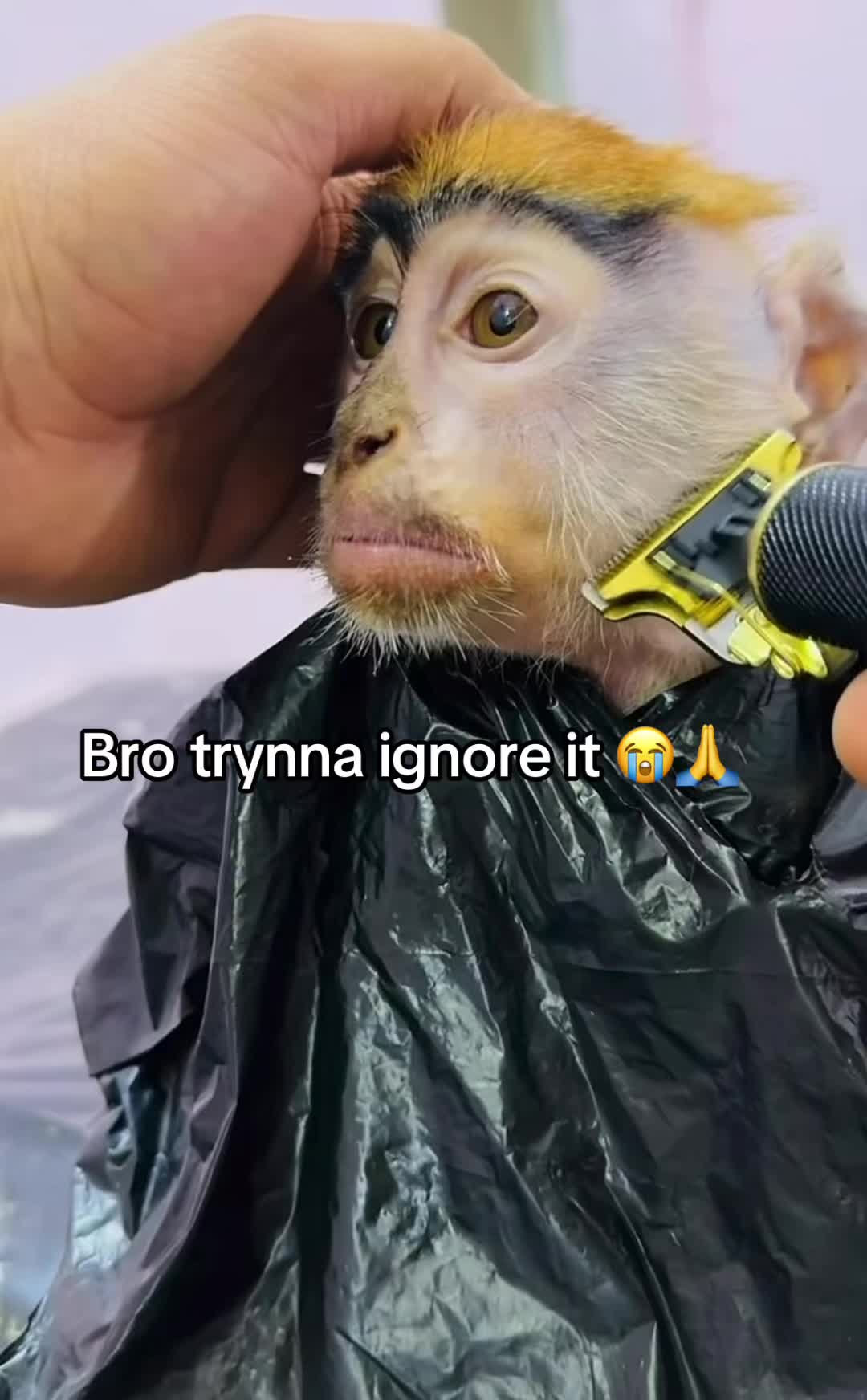 @Hxbitz