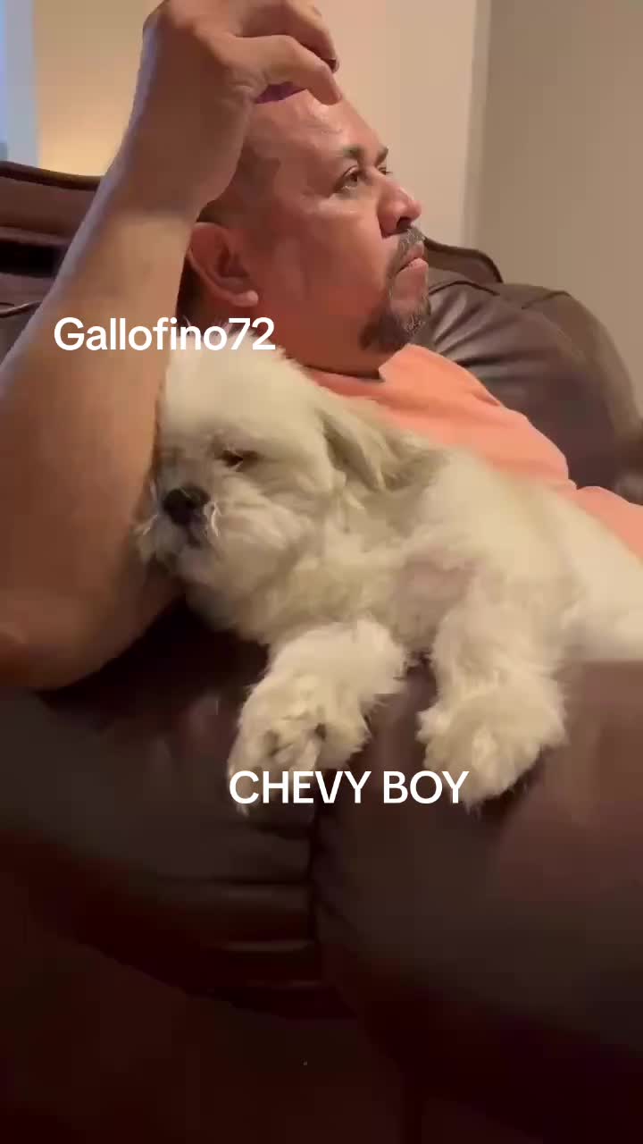 @ElGalloFino