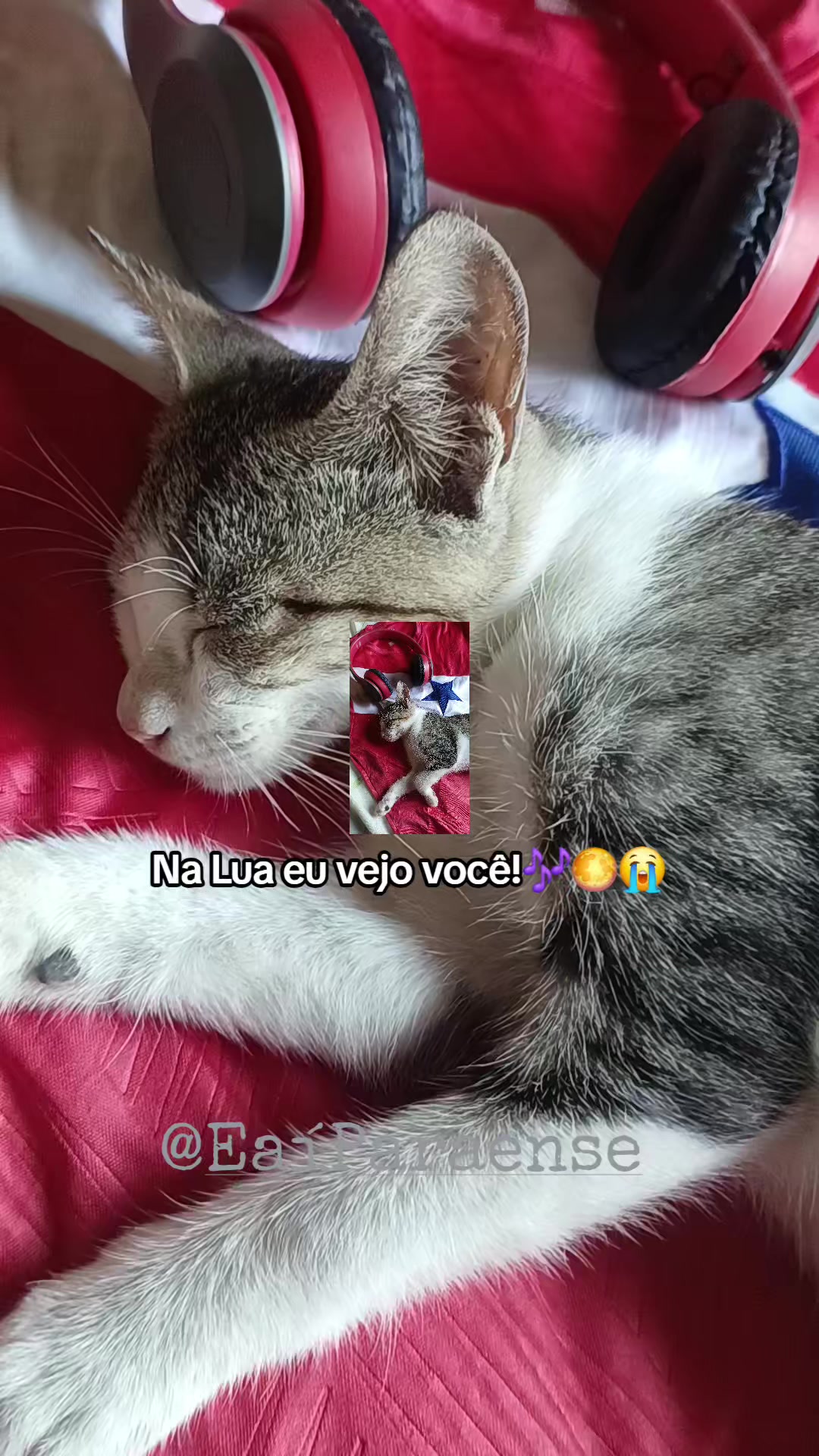 @E aí Paraense