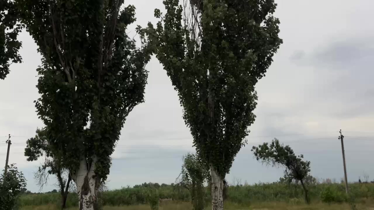 @Стёпа