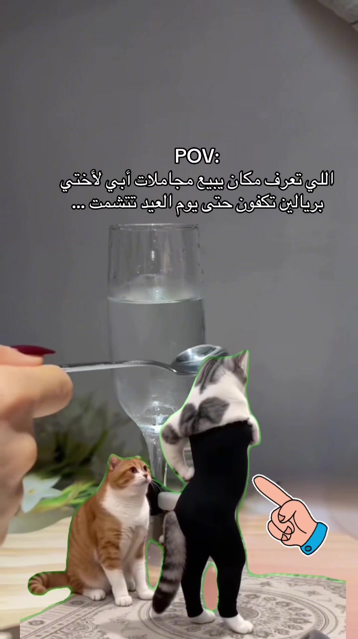 @عناية وأفكار