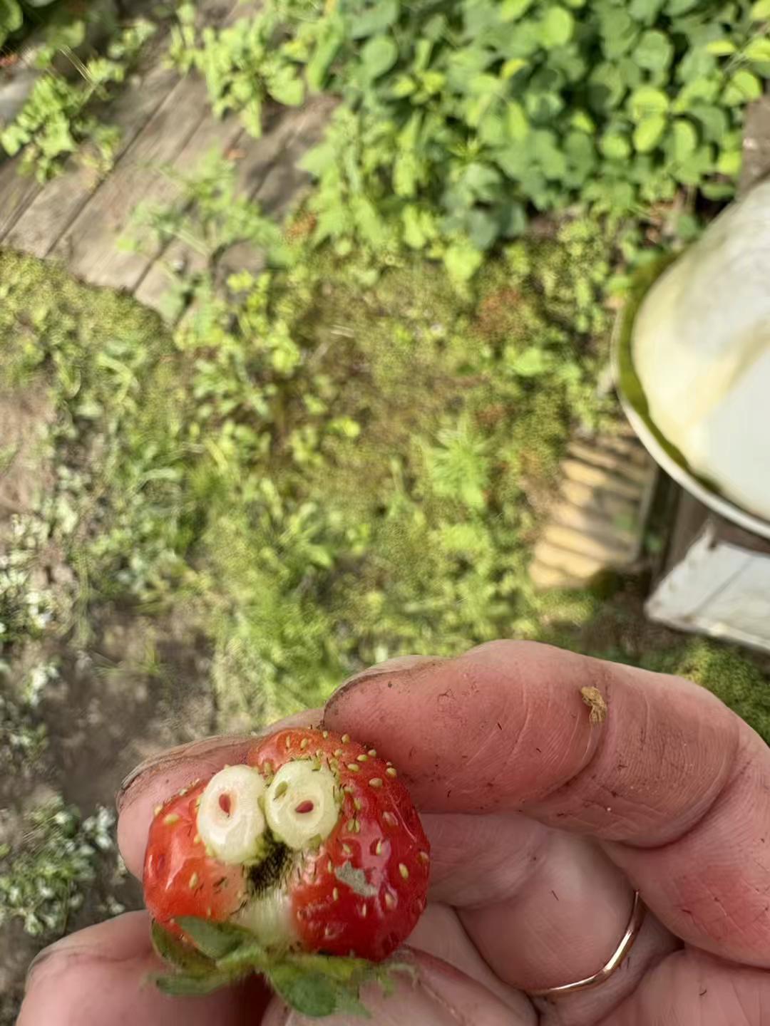 @happy