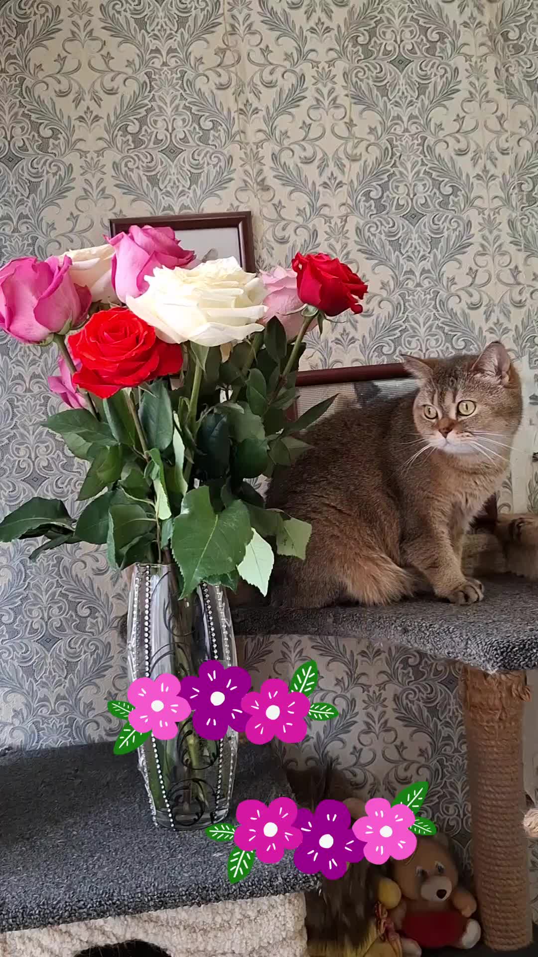 @Жанночка