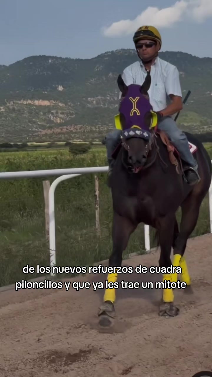 @carriles altos de jalisco🐎