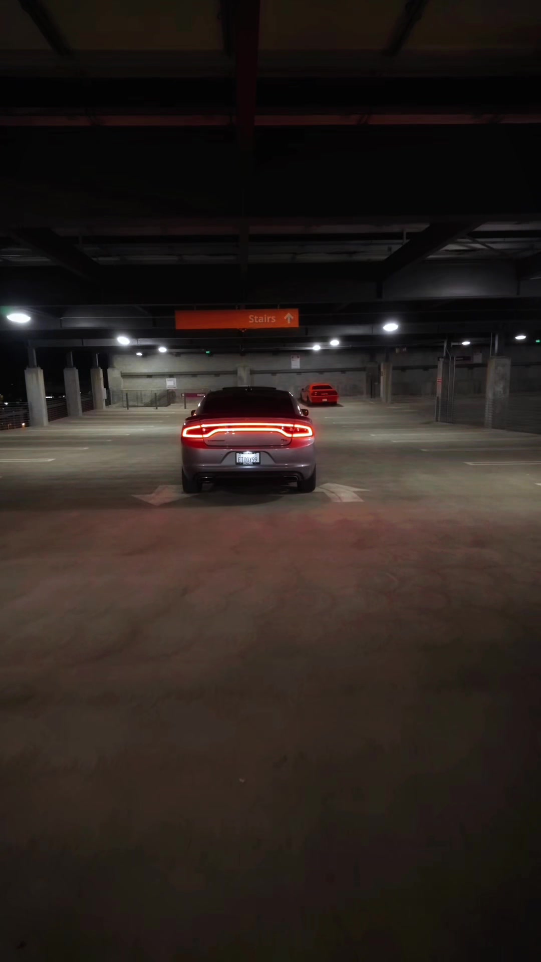 @HailsRt 🩶