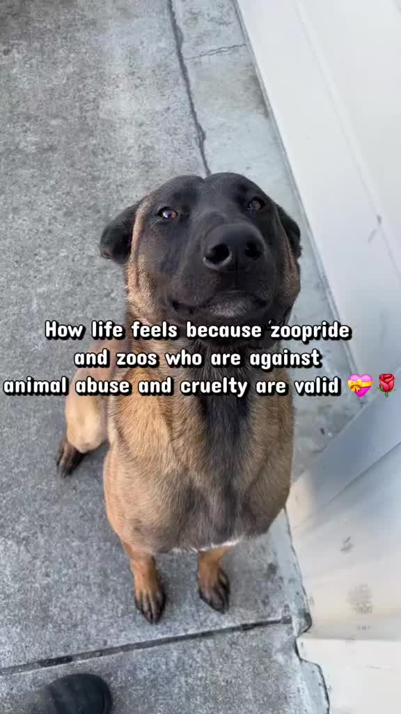 @ZOOMF! ◣ζ◥