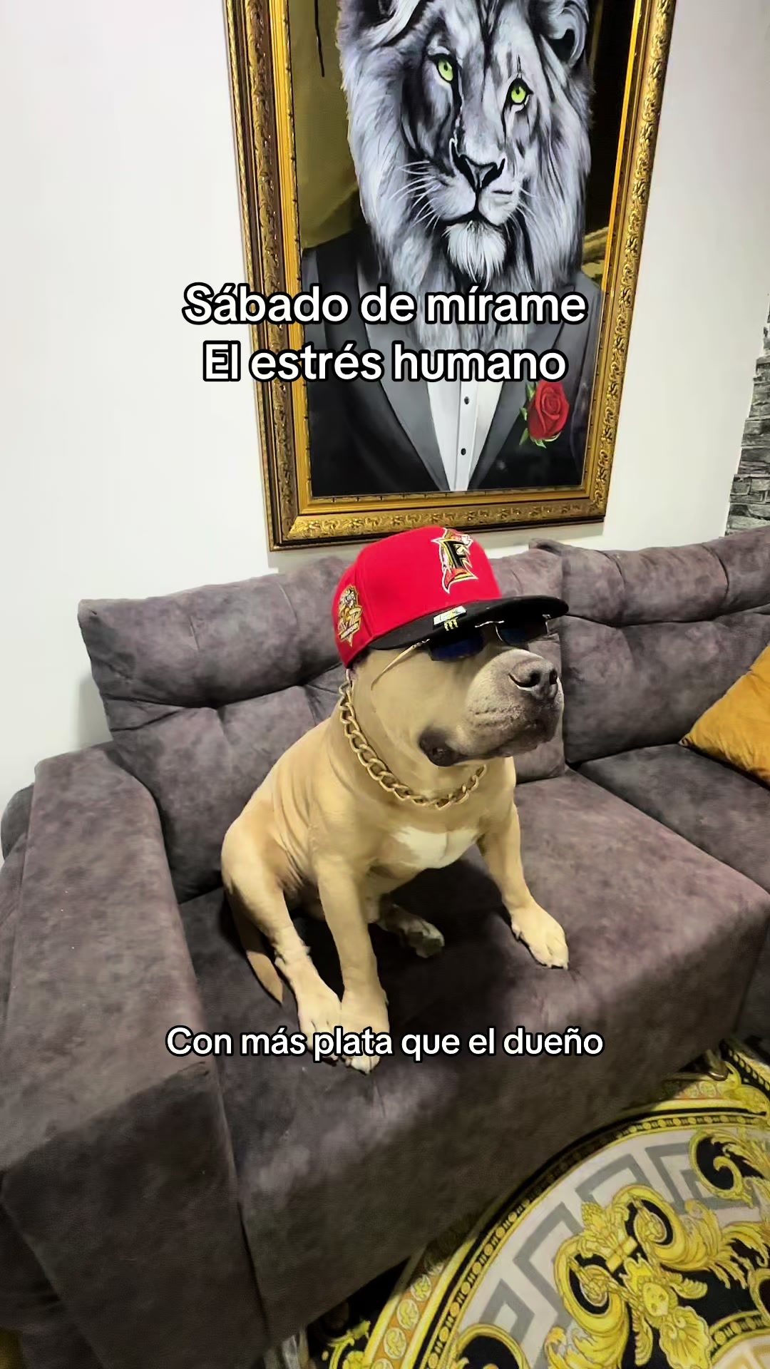 @Vikingo606