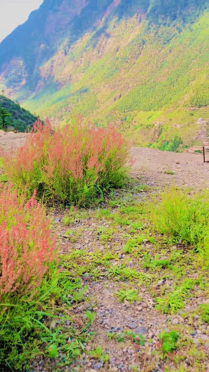 @📸Mr👀karimi🎵Balakot❤️