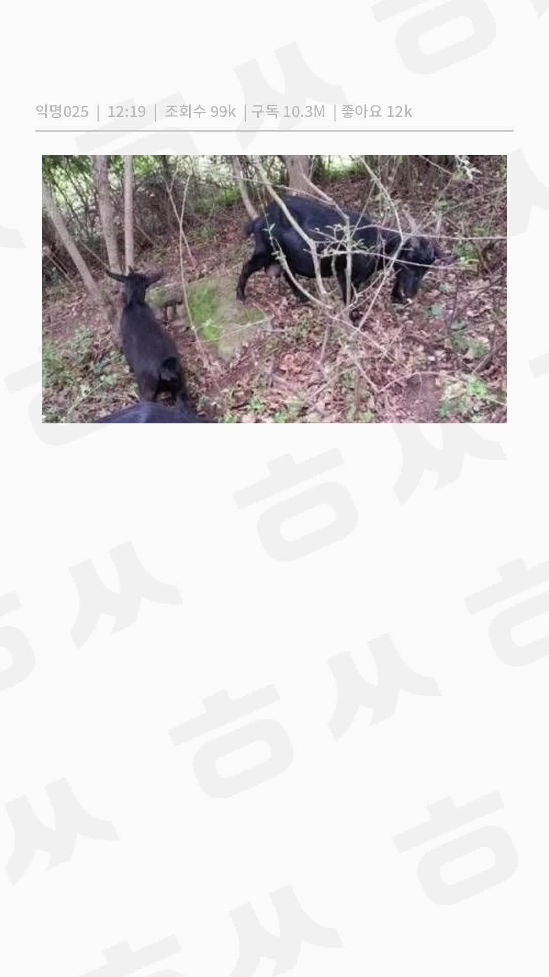 @user7392817904528