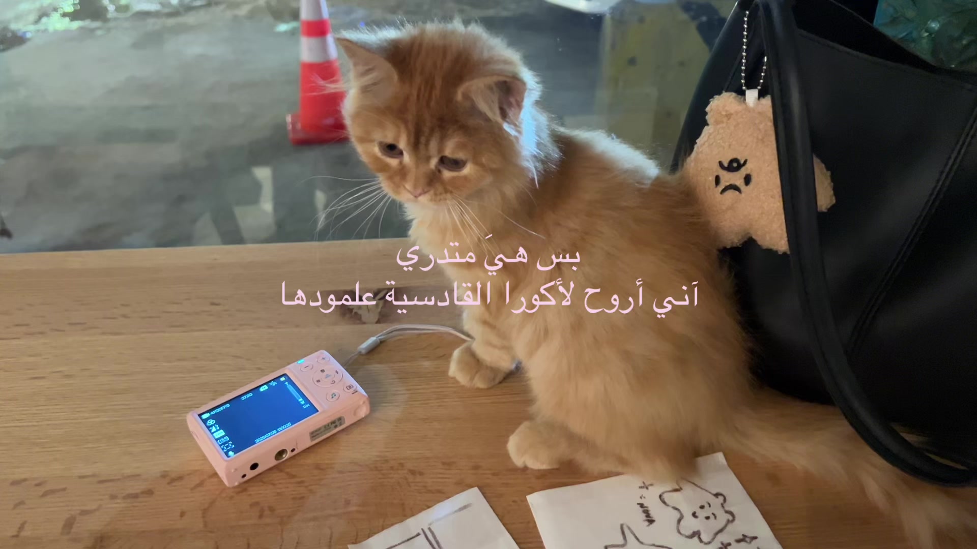 @Zay Omar 𝜗ৎ