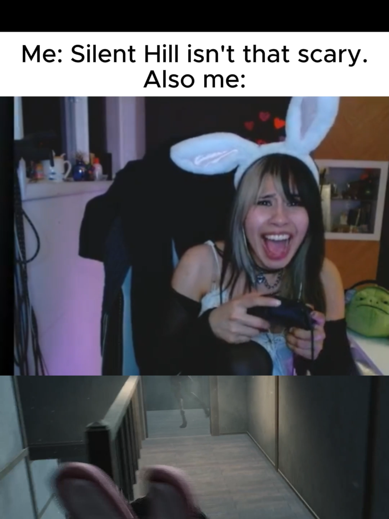 @AlmondMiruku fan account
