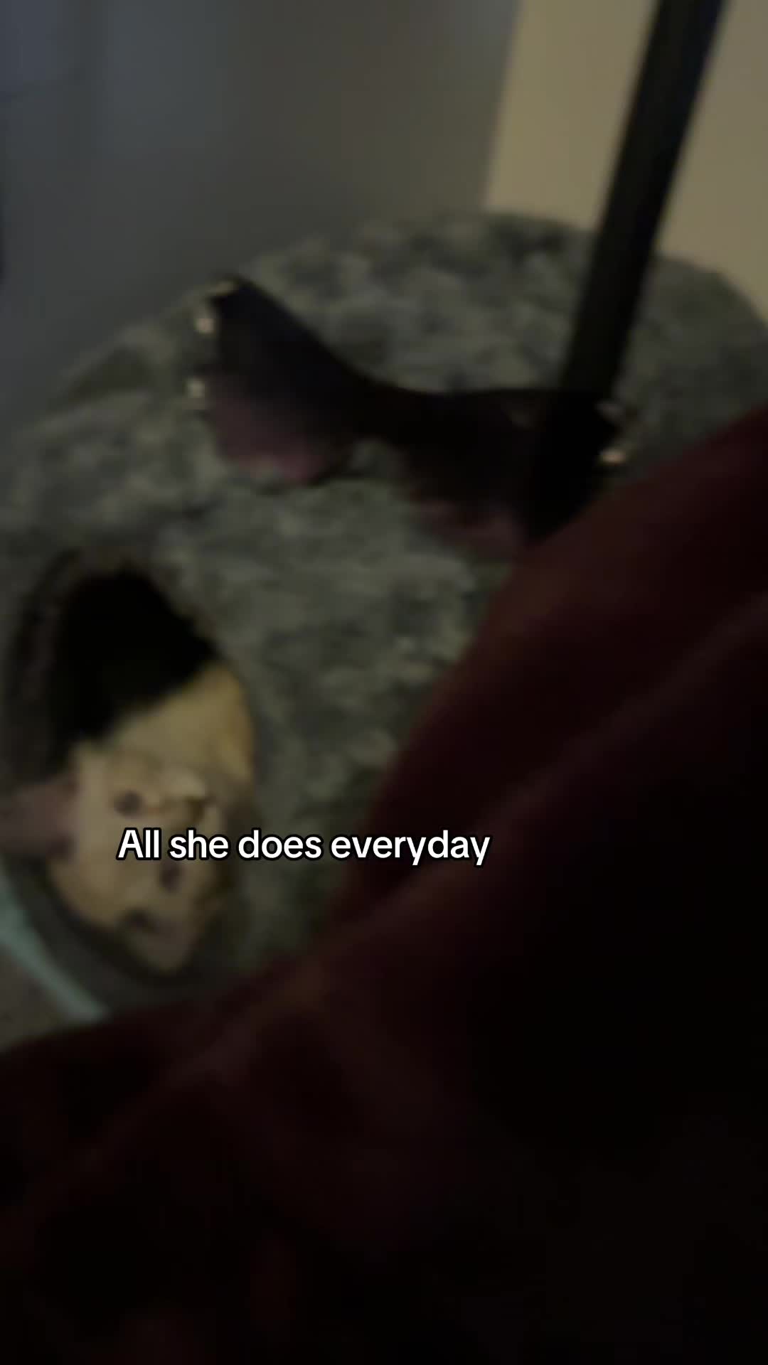 @im.not.makenna.grace