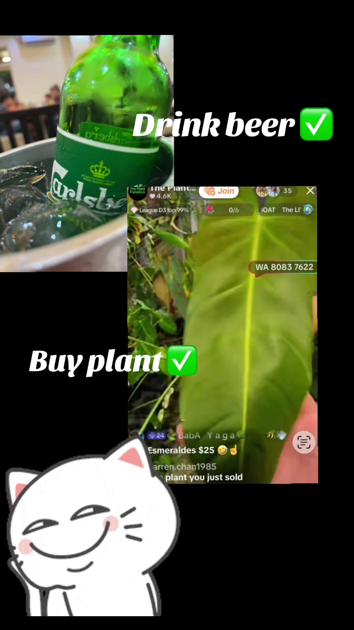 @🍃BabA   Y a g a🌳        🐝💨