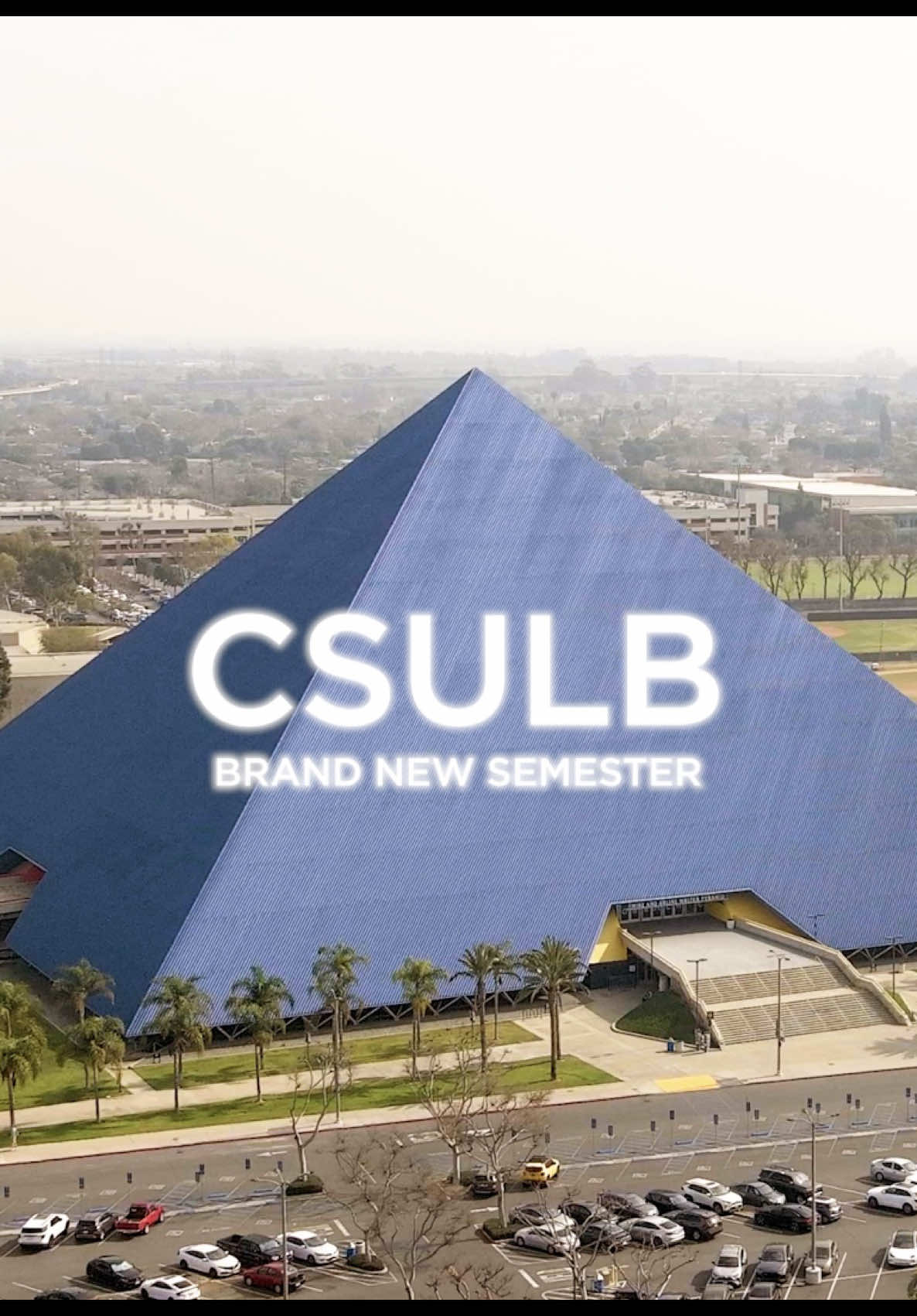 @csulbstudent