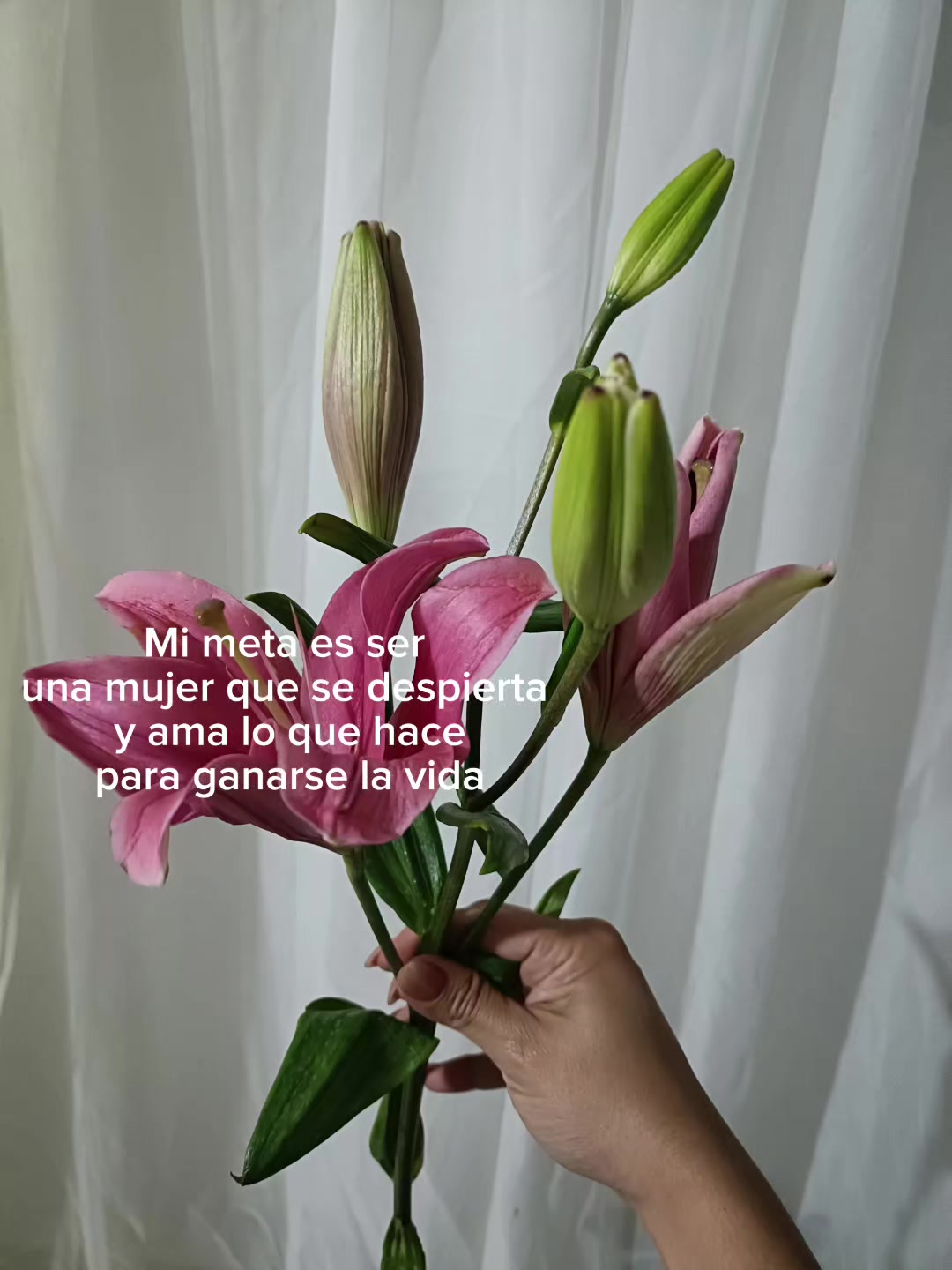 @iz777