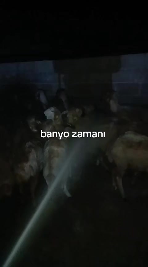 @Emre &Ouml;zt&uuml;rk 51