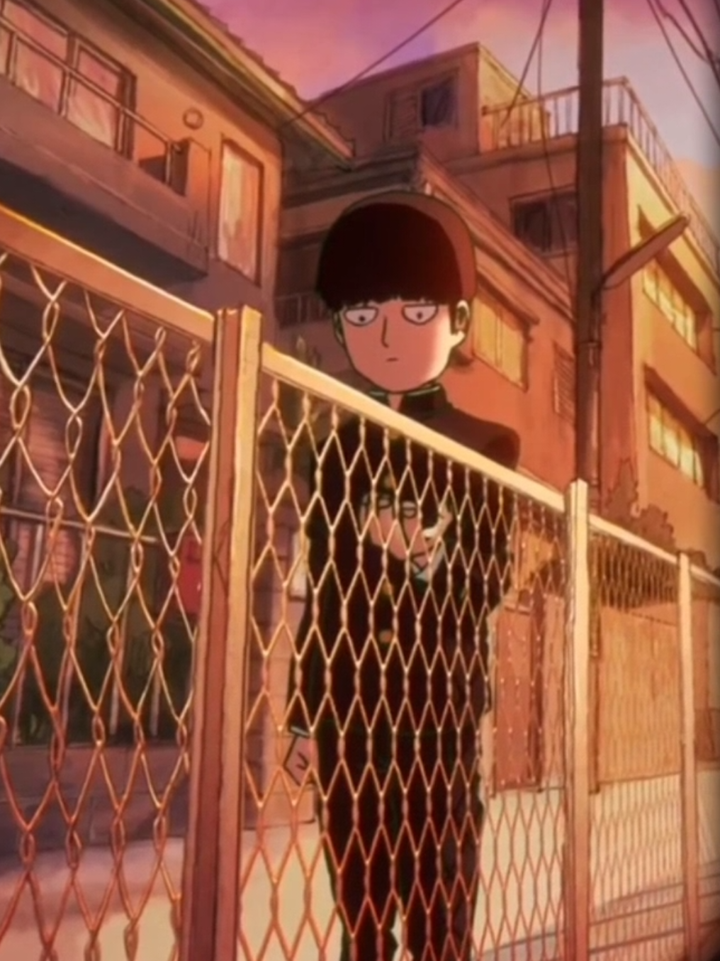 @shigeo_core
