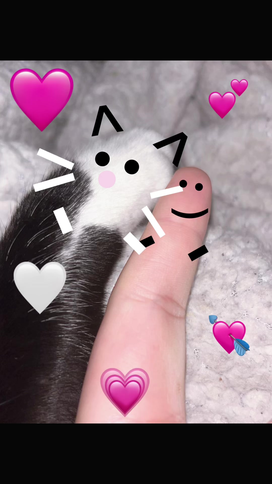 @⋆˚࿔ 𝓒𝓪𝔂𝓵𝓪 𝜗𝜚˚⋆