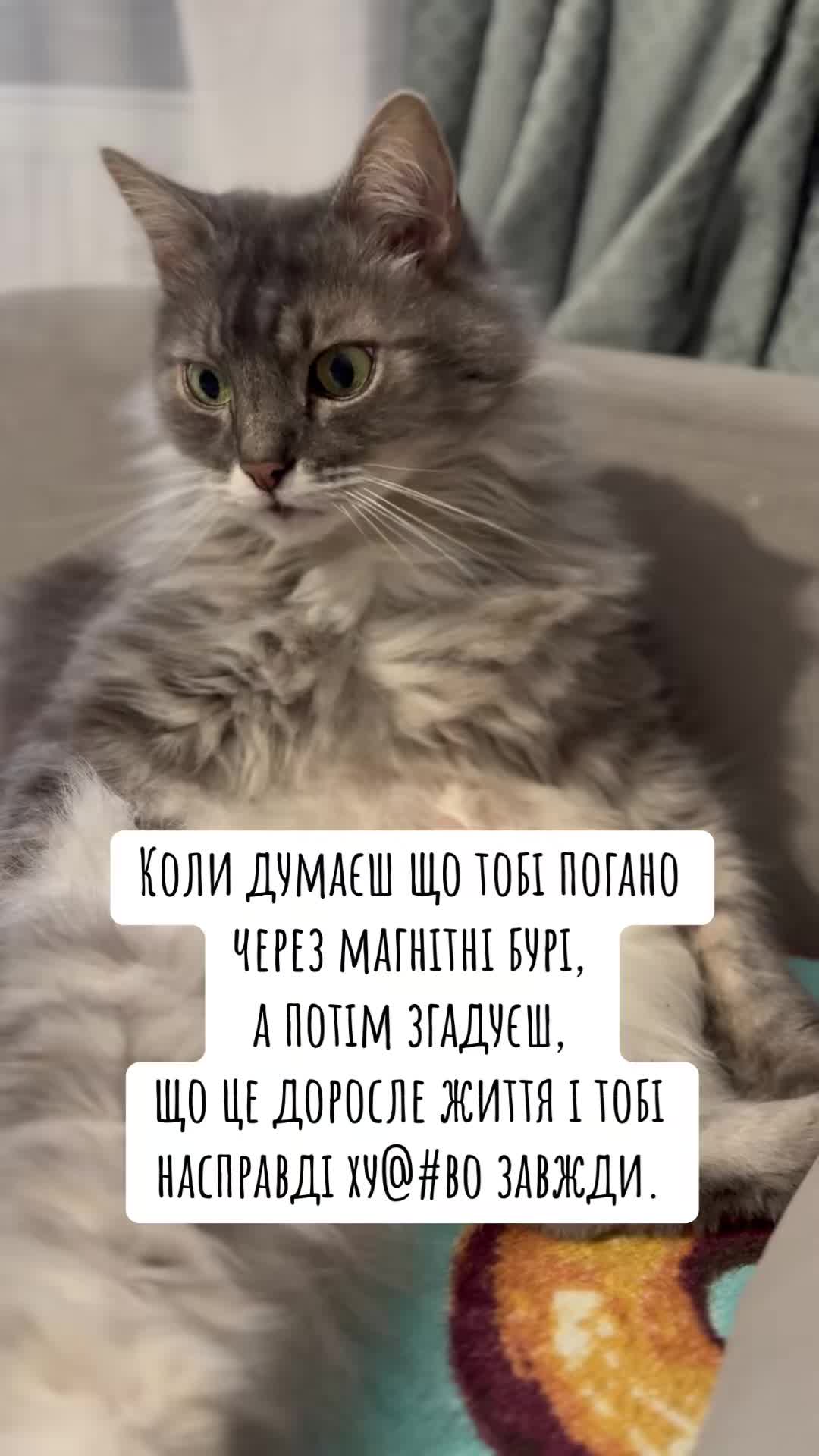 @timka.kit