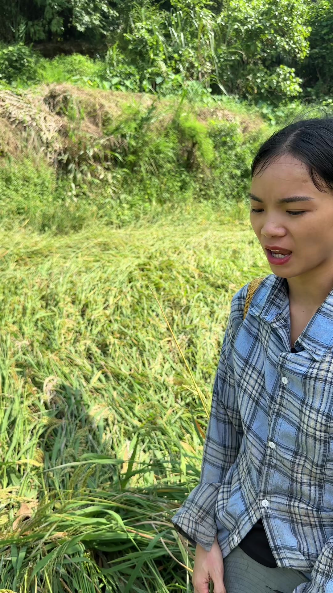 @Nhi Dao Đỏ