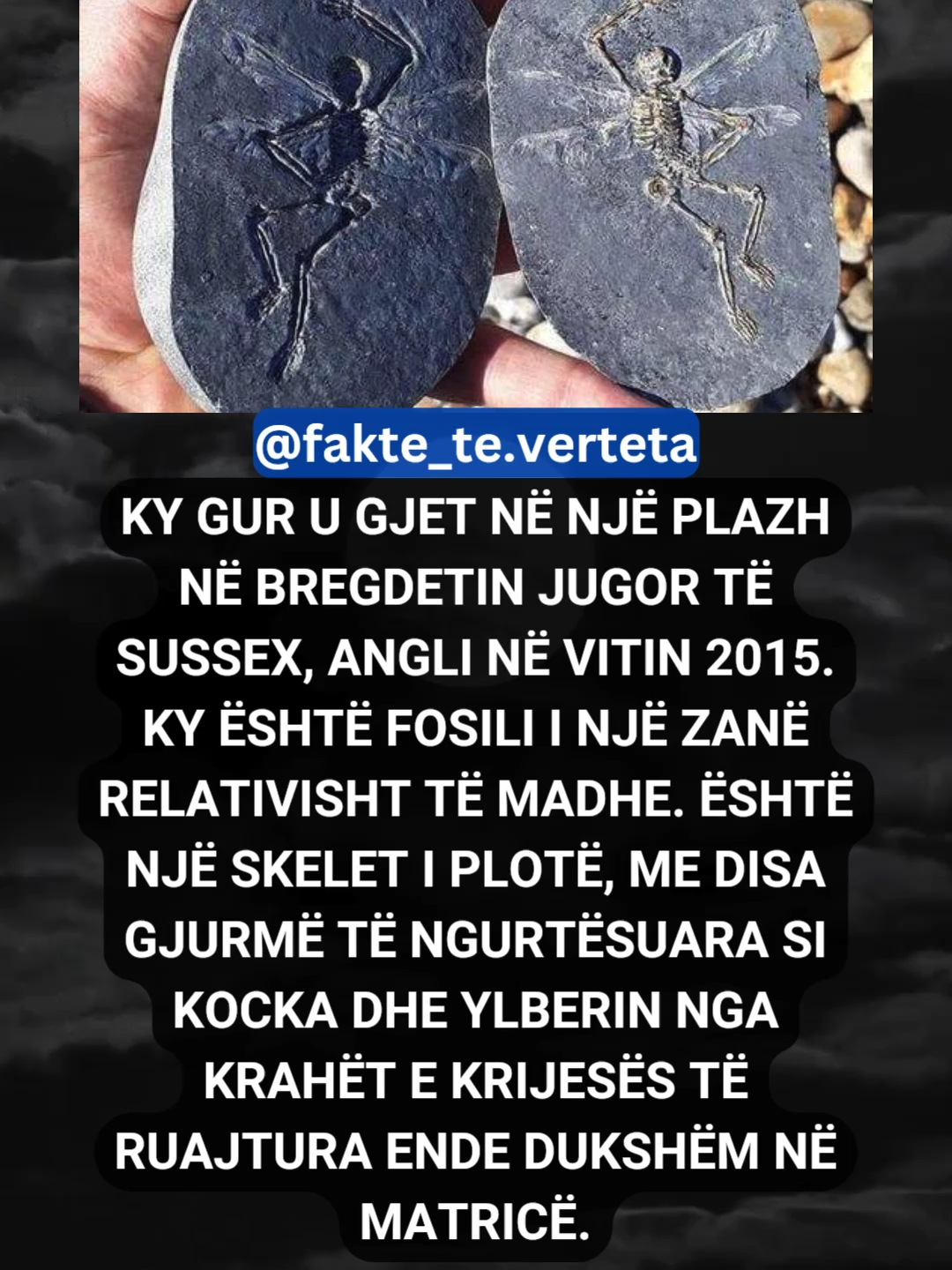 @fakte_te.verteta