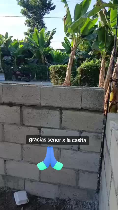 @Barahona