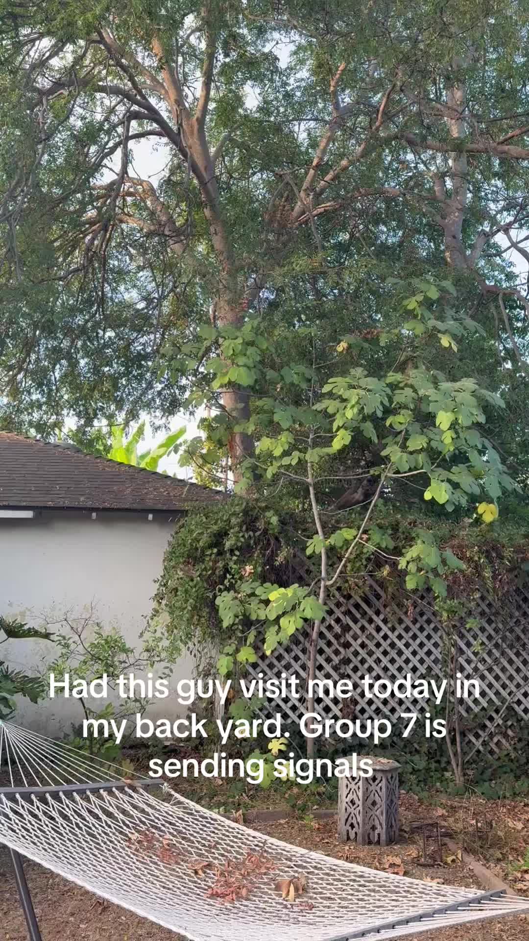 @Davynathan