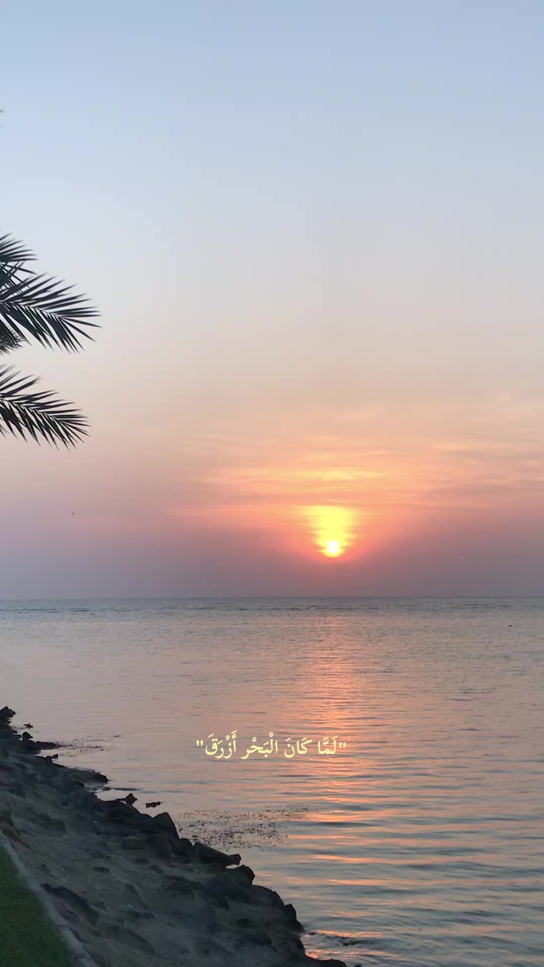 @داليـا༘⋆