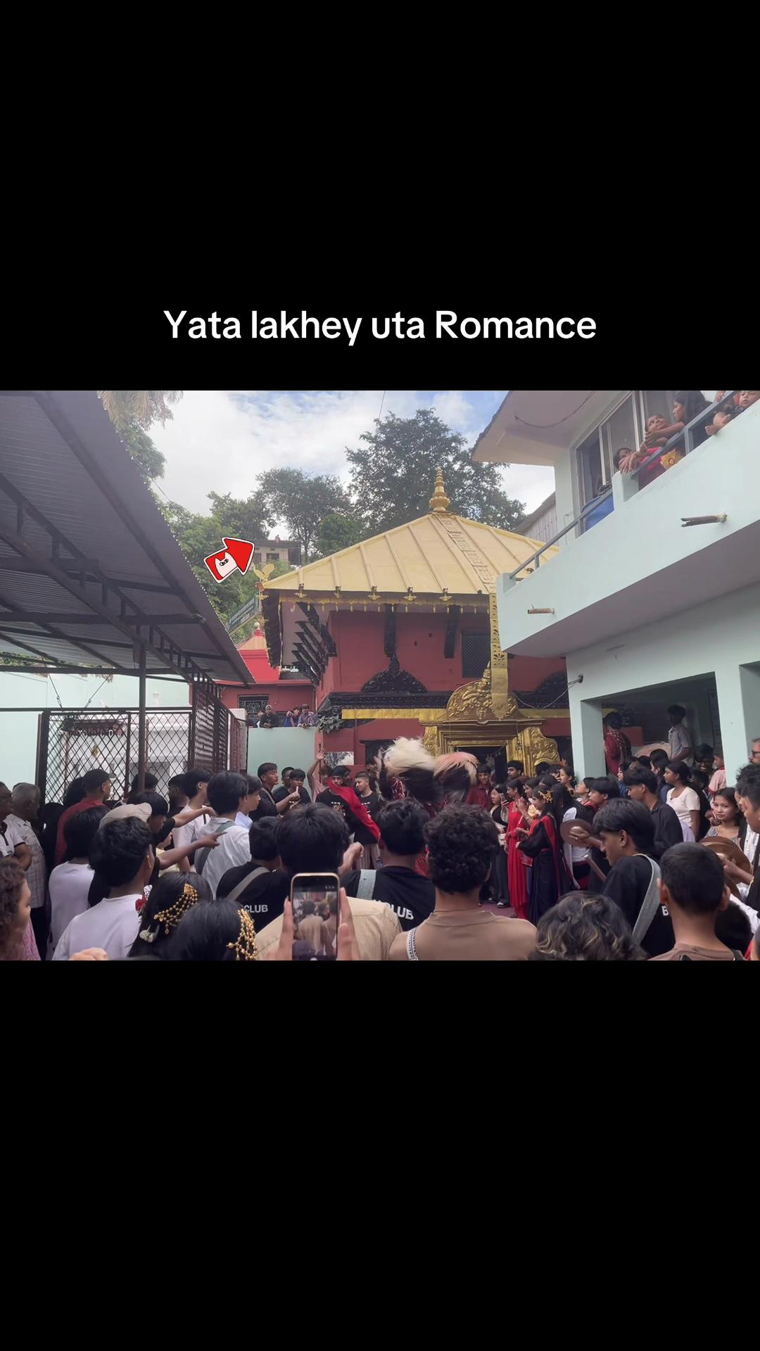 @🐼