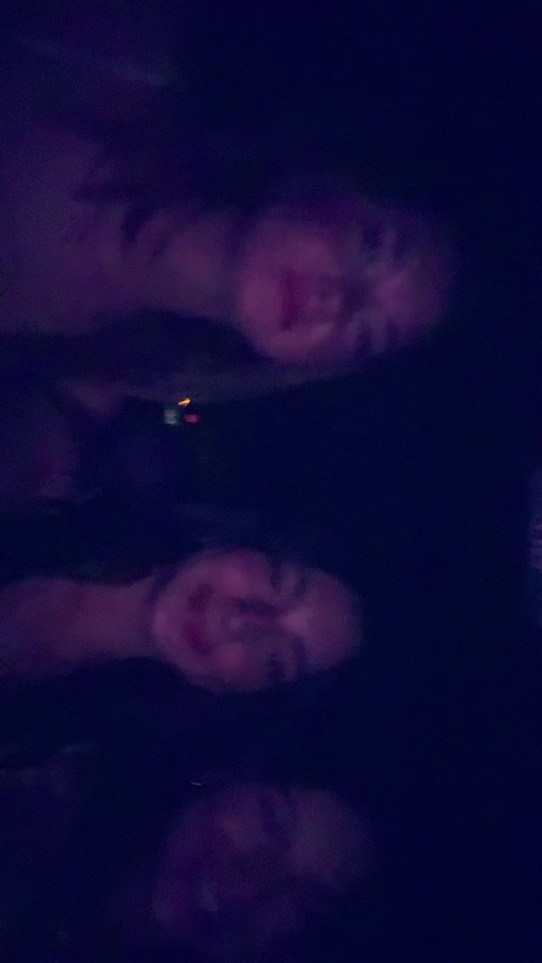 @burgerburger69