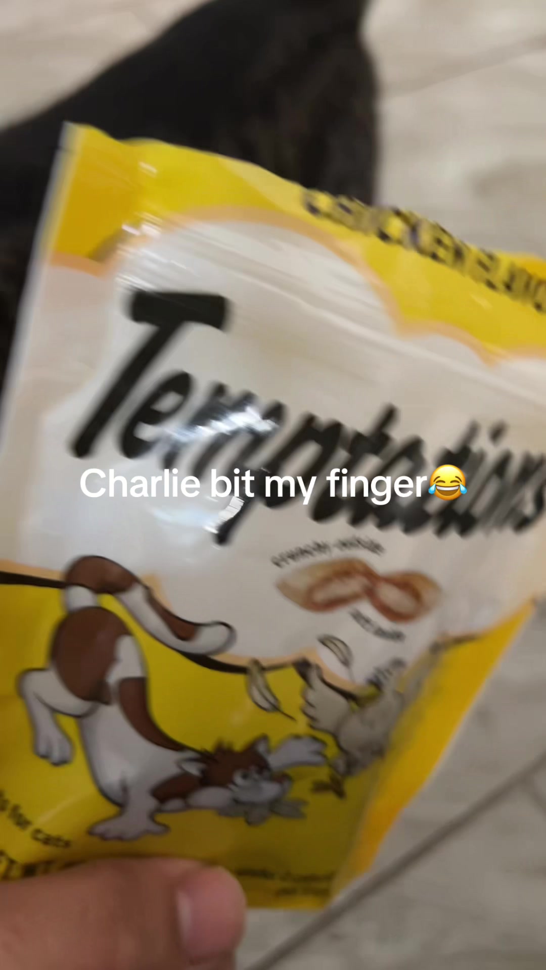 @Tiggy